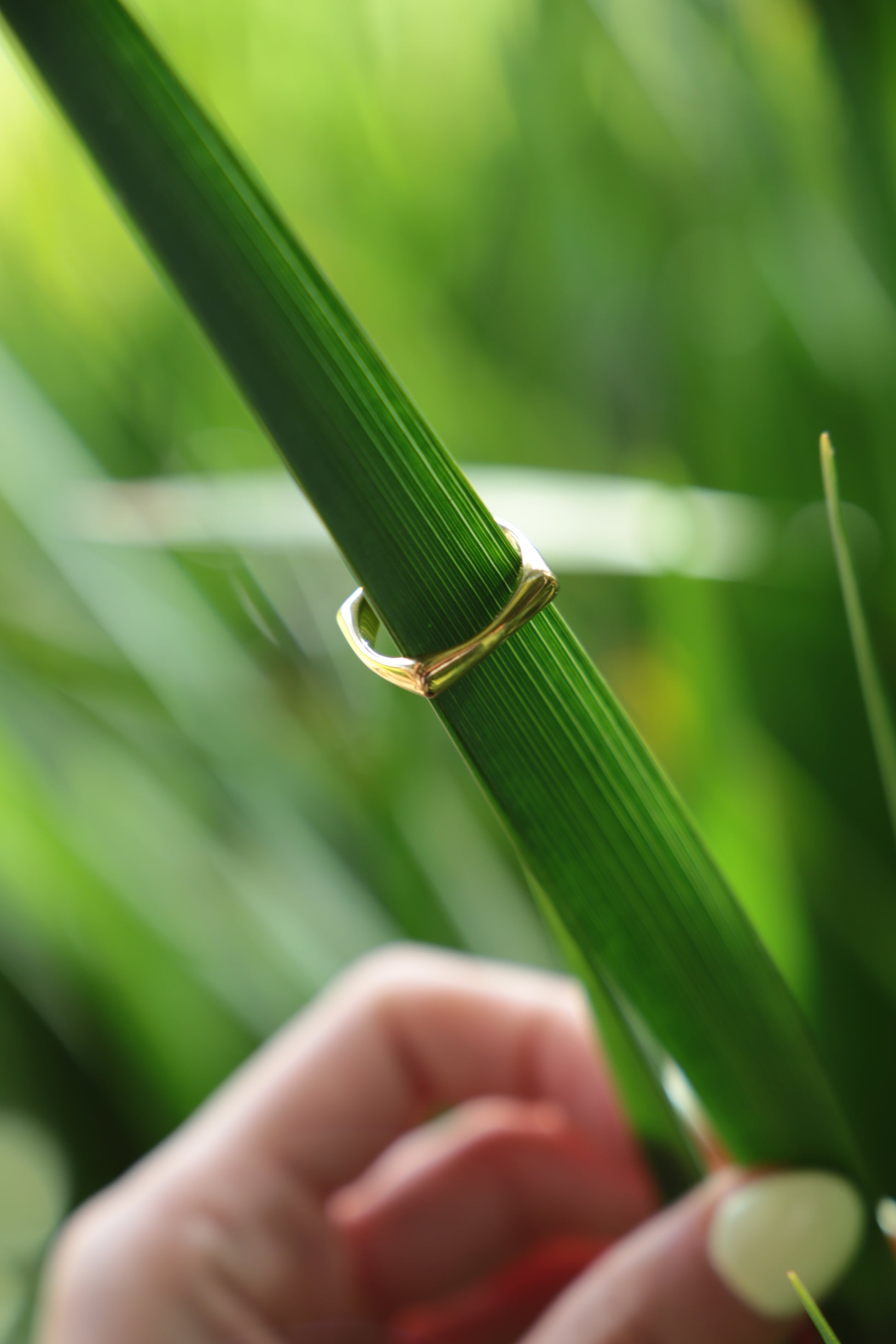 nā mea ring wai on leaf