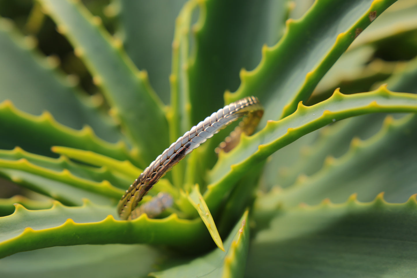 Meakanu – Bracelet