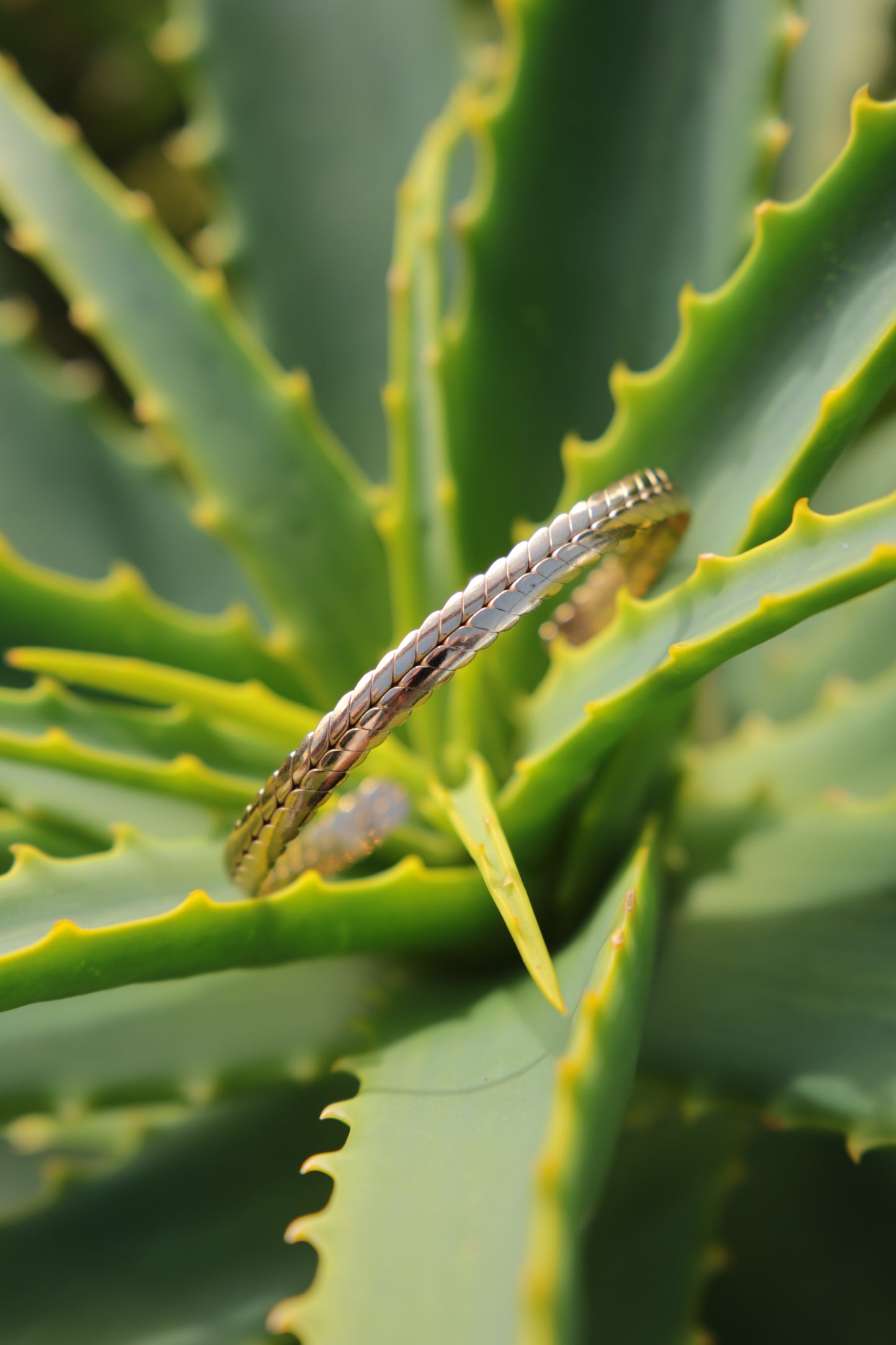 Meakanu – Bracelet